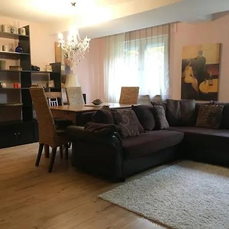 Black Forest Nest Apartment