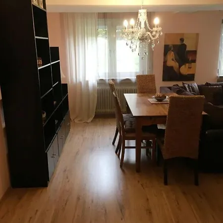 Black Forest Nest Apartment