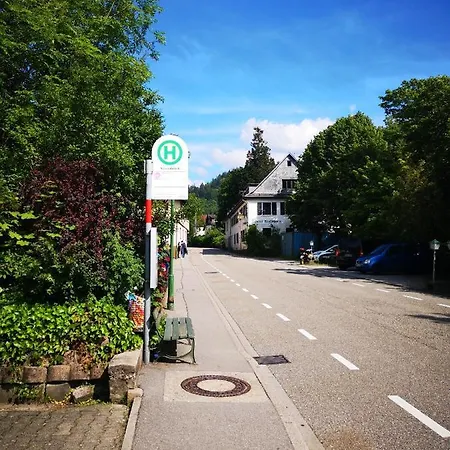 Apartman Black Forest Nest